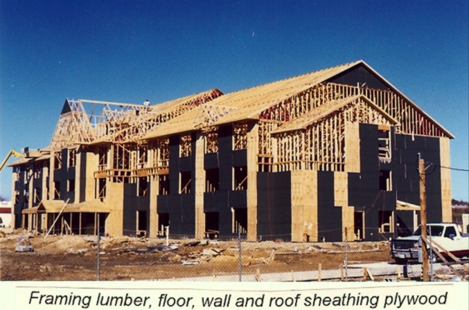 interior wood framing